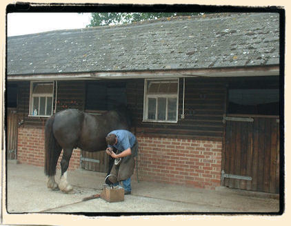 Horse Livery