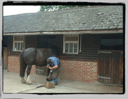 Horse Livery